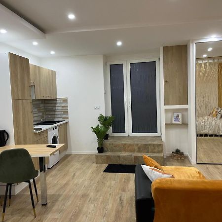 Appartement Luxe Jaune سانت إتيان المظهر الخارجي الصورة