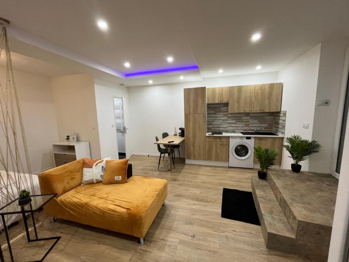 Appartement Luxe Jaune سانت إتيان المظهر الخارجي الصورة
